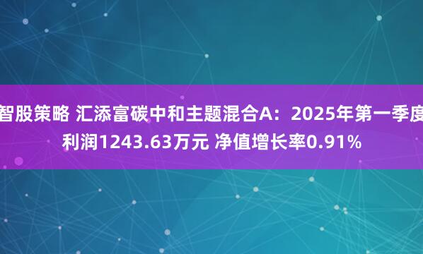 智股策略 汇添富碳中和主题混合A：2025年第一季度利润1243.63万元 净值增长率0.91%