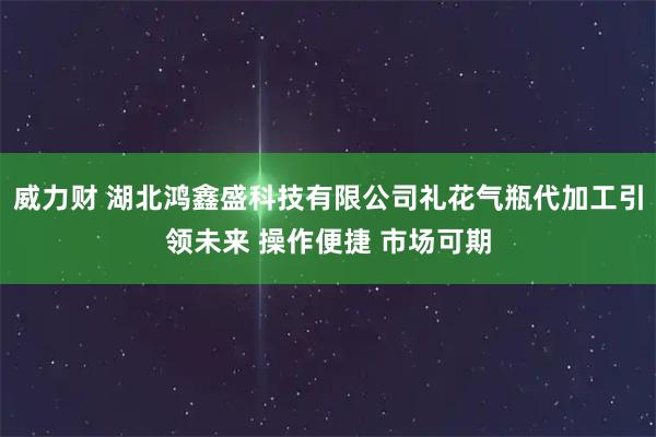 威力财 湖北鸿鑫盛科技有限公司礼花气瓶代加工引领未来 操作便捷 市场可期