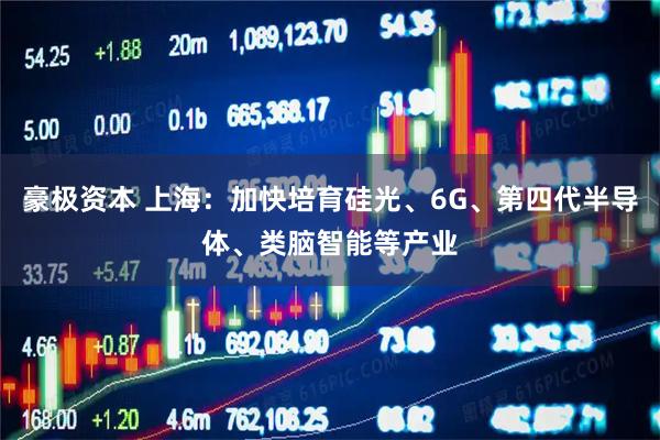 豪极资本 上海：加快培育硅光、6G、第四代半导体、类脑智能等产业