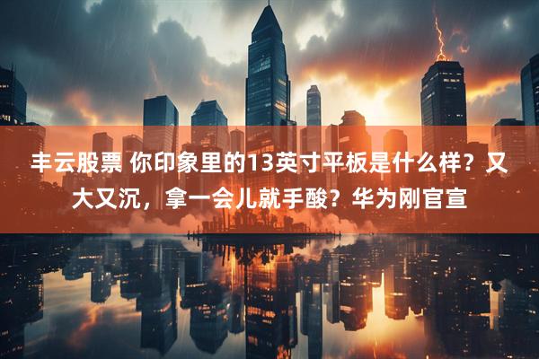 丰云股票 你印象里的13英寸平板是什么样？又大又沉，拿一会儿就手酸？华为刚官宣